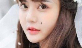 韩安冉新闻爆料最新消息,揭秘惊人内幕，事件发展令人震惊